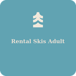 Rental Skis Adult