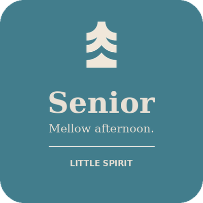 Little Spirit Half Day Ticket - Senior (65-79)