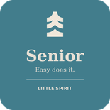 Little Spirit Full Day Ticket - Senior (65-79)