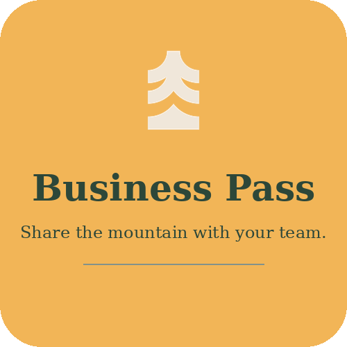 Business Pass